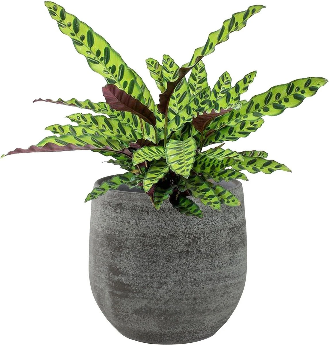Merkloos Pot Esra Mystic Grey Bloempot Binnen 22 Cm - Afbeelding 3