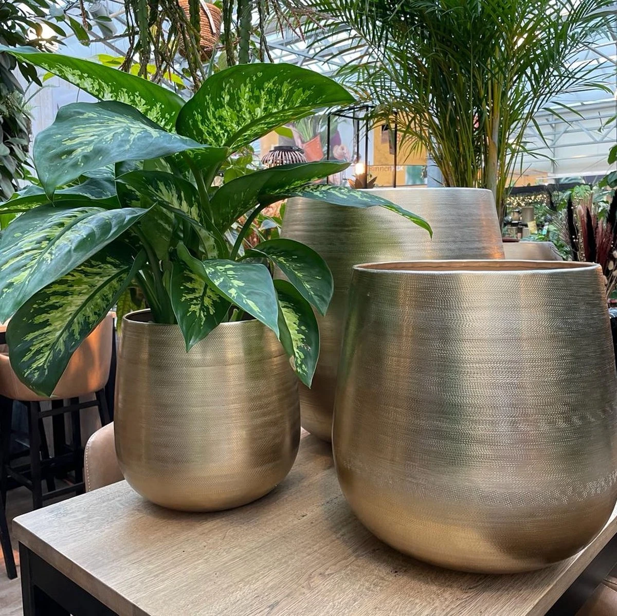 Merkloos Karakter Pot Alu Neo Gold ø40x40cm - Afbeelding 2