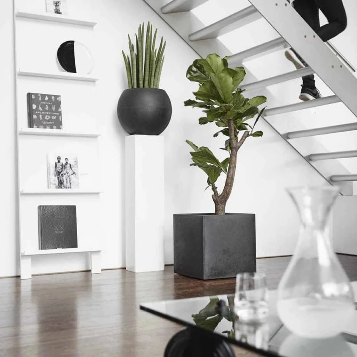 Capi Europe - Bloempot Vierkant Smooth NL - 50x50x50 - Zwart - Voor Binnen En Buiten - KBL904 - Afbeelding 20