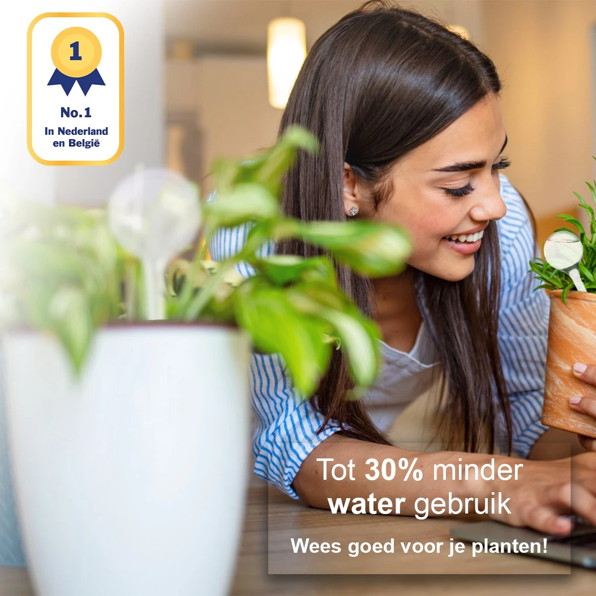 Waterdruppelaar Set Van 12 Stuks - Waterdruppelaar Voor Planten - Watergeefsysteem - Waterbol Irrigatiesysteem - Automatisch Druppelsysteem Voor Kamerplanten & Tuin - Watergever - Transparant - 15cm - Afbeelding 2