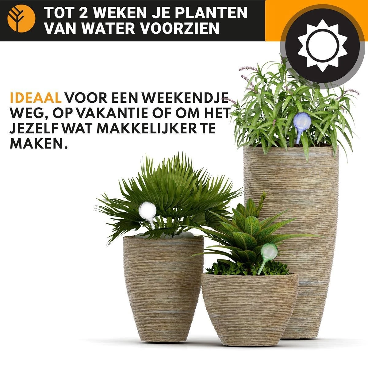Waterdruppelaar Set Van 6 Stuks Voor Planten Transparant – 27 CM – Automatisch Watergeefsysteem Voor Kamerplanten – Planten Watergever Met Druppelsysteem – Waterbol - Afbeelding 3