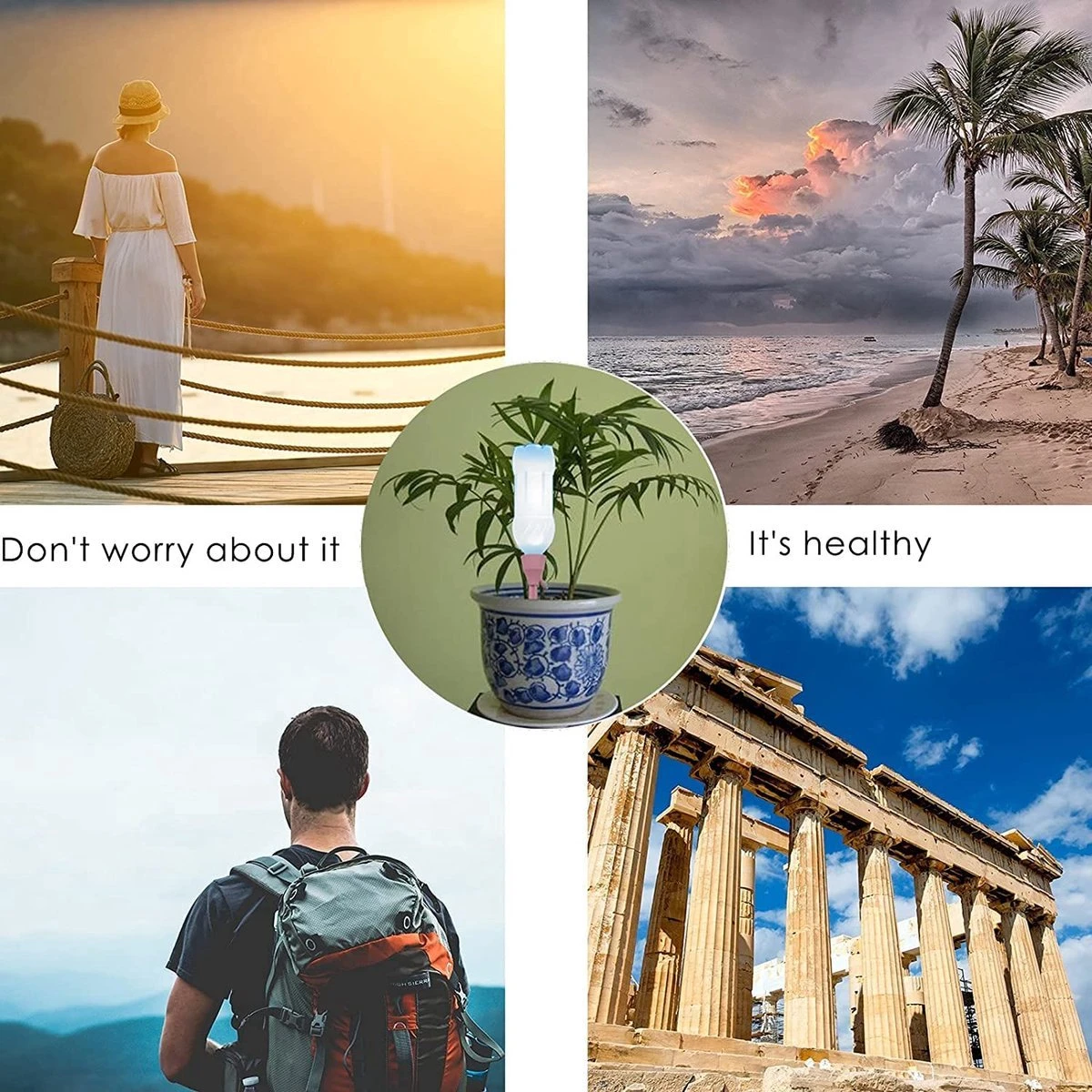 BOTC Waterdruppelaar Set Van 6 Stuks Voor Planten - Watergeefsysteem - Afbeelding 8