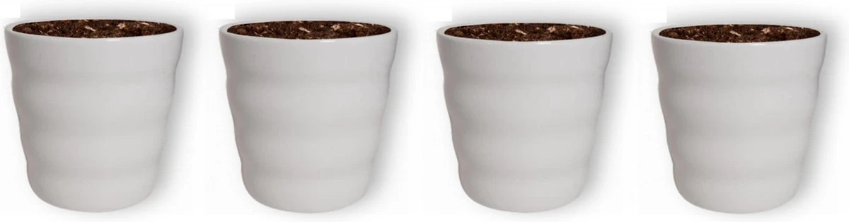 WL Plants - Bloempot Binnen - Set Van 4 - Dawn Ø12 Wit - Luxe Bloempotten Voor Binnen - Bloempotten Voor Buiten - Bloembak & Plantenpot - Hoogte 12,5 Cm - Keramisch Met Hoogwaardige Afwerking