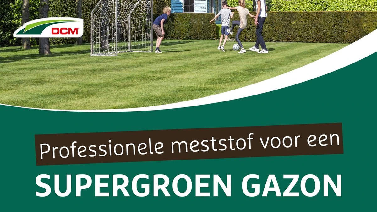 DCM Vital-Green Gazon - Gazonmest - Gazonmeststof Met MINIGRAN® Technology - 75m2 - 3 Kg - Afbeelding 2