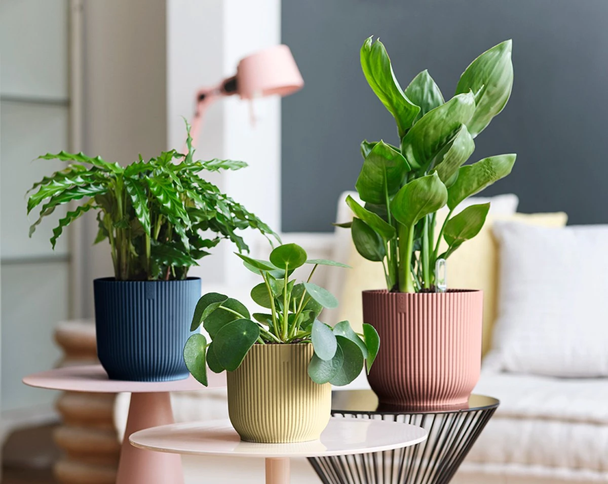 Elho Vibes Fold Rond Wielen 35 - Bloempot Voor Binnen - Ø 34.9 X H 32.4 Cm - Diepblauw - Afbeelding 4