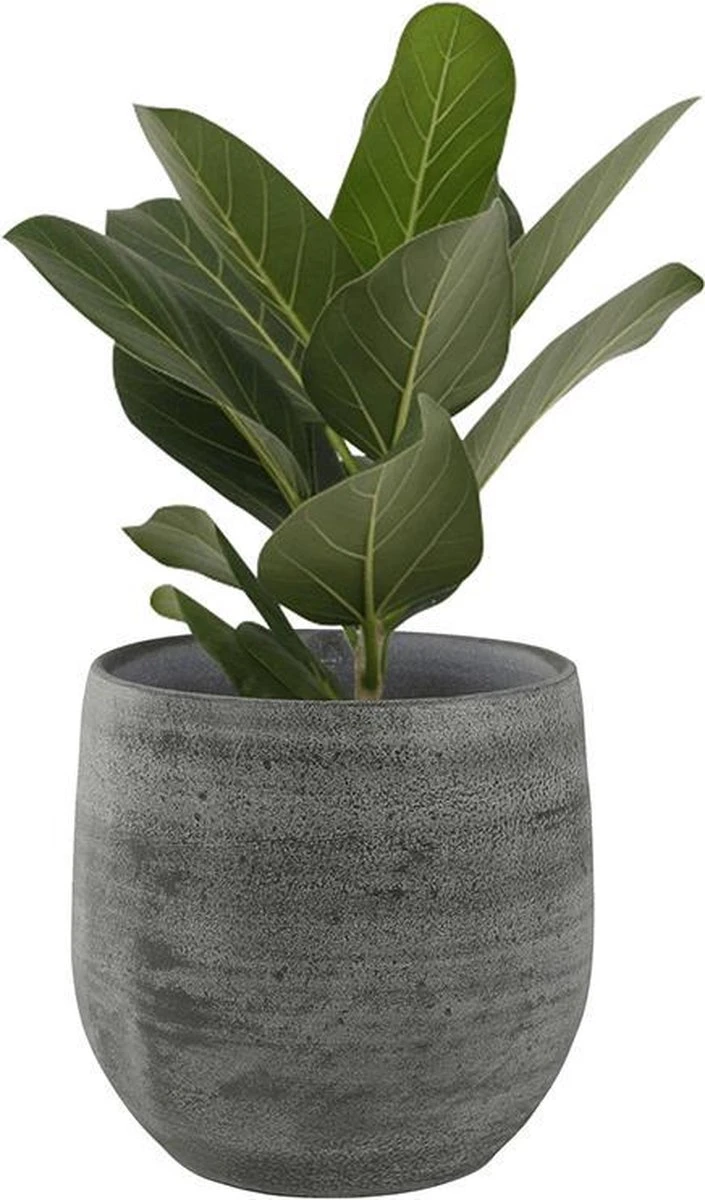 Merkloos Pot Esra Mystic Grey Bloempot Binnen 22 Cm - Afbeelding 4