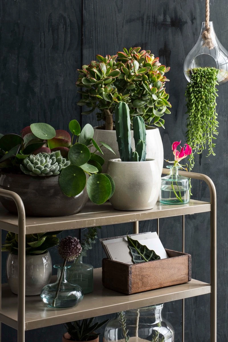 Mica Decorations Lester Bloempot - H18 X Ø20 Cm - Terracotta - Groen - Afbeelding 3