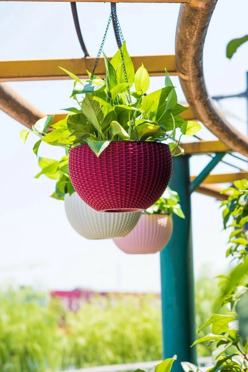 Hangpot Kunststof – Bloempot Hangend – Binnen & Buiten- Plantenhanger –Incl. Afvoerstop – 26 Cm - Zwart - Afbeelding 3