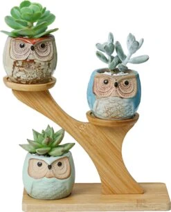 Luxe Bamboe Houten Boom Met 3 Keramiek Uil Bloempotten/Plantenpotten Op Standaard/Voet Voor Binnen En Buiten - Modern Design Bloempot/Plantenpot Op Poten/Pootjes-Plantenbak Mini Cactus Nep Plant Pot Houder - Kleine Bloembakken Plantenrek/Plantenkurk
